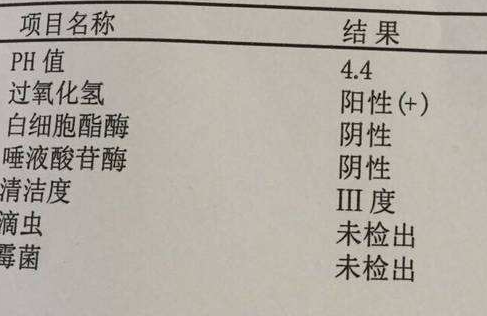 阴道分泌物香蕉视频下载安装分析阴道清洁度