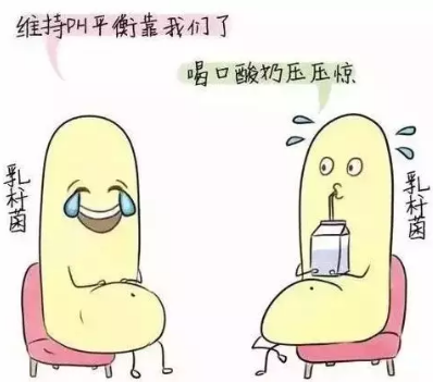 阴道分泌物香蕉视频成年人诊断阴道微生态状态的常用方法