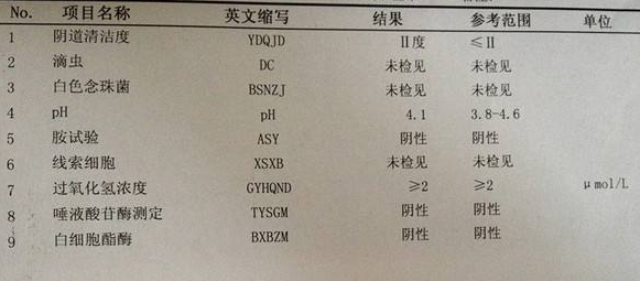 91香蕉下载安装GK-Y全自动阴道分泌物香蕉视频下载安装厂家科普“白带常规”查看报告！