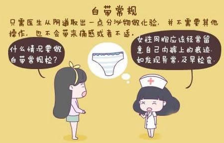 91香蕉下载安装GK-Y全自动阴道分泌物香蕉视频下载安装厂家科普“白带常规”查看报告！