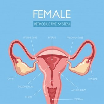 阴道分泌物香蕉视频下载安装提醒女人婚后得了妇科病做到这5点，发炎不来扰