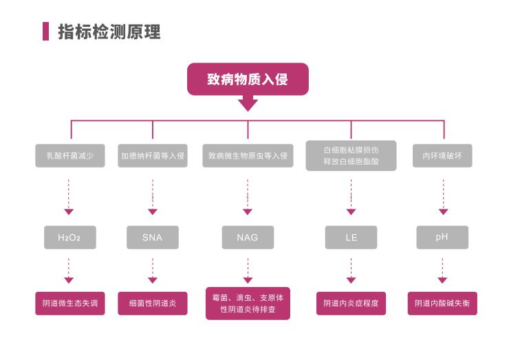 全自动阴道炎香蕉视频下载安装LTS-V400指标检测原理