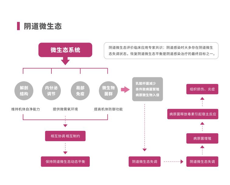 全自动阴道炎香蕉视频下载安装LTS-V400阴道微生态系统